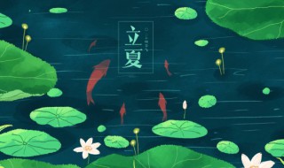 立夏吃蛋微信说说