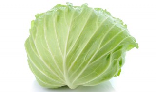 奶香卷心菜做法窍门 奶油卷心菜怎么做