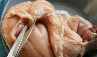 清洗猪肚的最佳方法（清洗猪肚的最佳方法视频）
