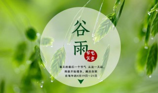 谷雨是春天还是夏天（谷雨算是春天吗）