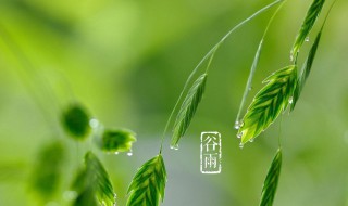 什么是谷雨 什么是谷雨时节