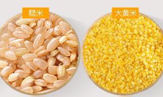 黄米薏米粥功效与作用（黄米薏米粥功效与作用及禁忌）