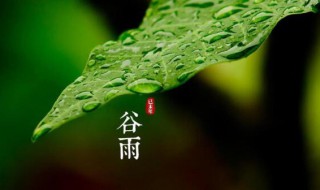谷雨是24节气中第几个节气 谷雨是24节气中的第几节气