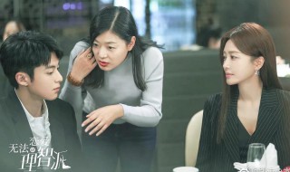 理智派生活电视剧剧情介绍 理智派生活电视剧剧情简介