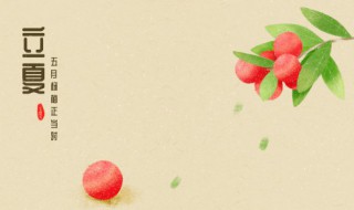 立夏前后吃什么