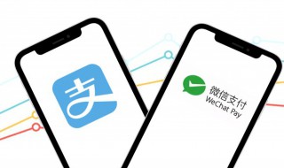 苹果手机微信怎么开通人脸识别（苹果手机微信怎么弄人脸识别）