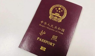 中国公民去新加坡需要什么条件（中国公民去新加坡需要什么条件呢）
