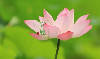 安徽过立夏有什么风俗（安徽立秋后还热多久）