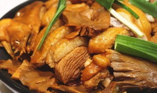 南乳焖鹅肉的制作方法（南乳焖鹅的做法）