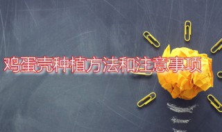 鸡蛋壳种植方法和注意事项