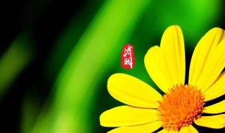 清明节问候语怎么说 清明节问候短语怎么说