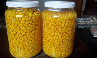 玉米粒罐头的做法是什么 玉米粒罐头的做法是什么意思
