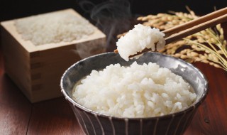 高压锅蒸米饭的做法（高压锅蒸米饭水米比例）