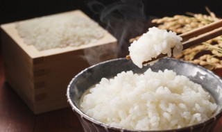 生水煮米饭会危害健康吗（用生水煮饭对身体不好吗）