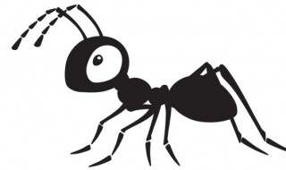 家里有红蚂蚁是什么原因（家里有红蚂蚁怎么能彻底消灭）