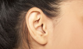 耳朵的作用（耳朵的作用有哪些）