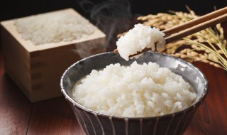 高压锅蒸米饭（高压锅蒸米饭上气几分钟关火）