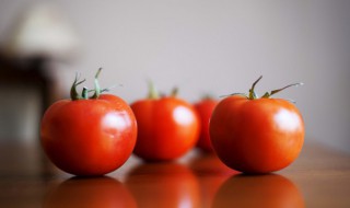 西红柿番茄怎么种植能高产（西红柿番茄怎么种植能高产一些）