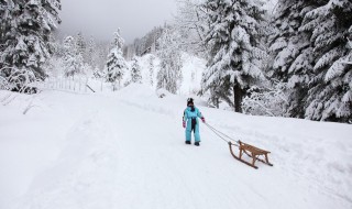 雪为什么是白色的神回复 你知道雪为什么是白色的吗?这句话是什么意思