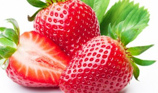 草莓的寓意是什么意思 草莓寓意是什么意思和含义图片