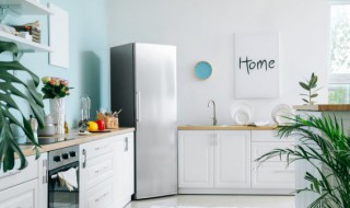 单门冰箱的尺寸规格有哪些 单门冰箱的尺寸是多高,多宽多深的