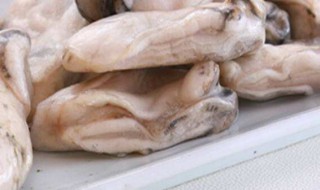 冰冻的牡蛎肉怎么清洗（冰冻牡蛎肉怎么清洗图解视频）