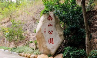 深圳大南山公园开放时间（深圳大南山公园攻略）