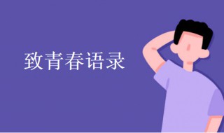 致青春语录（致青春语录短句）