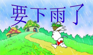 下雨前动物的表现 下雨前动物的表现有哪些一年级