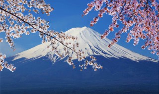 富士山下国语剧情 富士山下电影简介