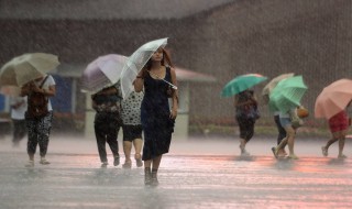 台风风力最大的部位是哪个地方 台风风力最大的部位是哪个地方为什么