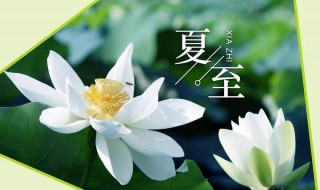 夏至在哪个节气之后（夏至后是哪个节气）