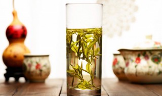 雪芽是什么茶（日铸雪芽是什么茶）