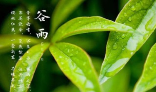 谷雨的来历（谷雨的来历和传说）