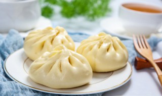大葱鲜肉包的做法和配方 大葱鲜肉包子的做法