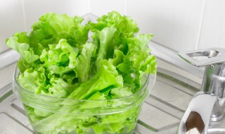 生菜西红柿黄瓜怎么做好吃