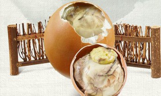 毛蛋的营养价值和危害 18天毛蛋的营养价值和危害