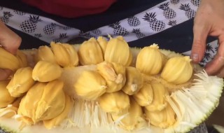 菠萝蜜的核的功效与作用 菠萝蜜的核的功效与作用的营养
