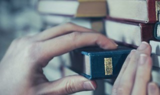 大篆是金文吗 大篆与金文大篆的区别