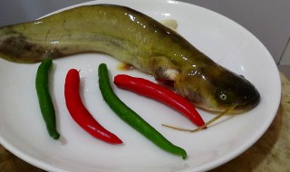 鲶鱼怎么去腥（鲶鱼怎么去腥?）