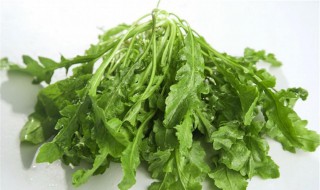 荠菜是什么菜 荠菜是什么菜俗称是什么菜