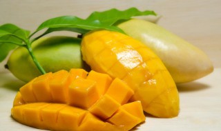 攀枝花芒果没熟能吃吗 芒果没熟能吃吗