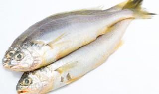 蒸鱼需要腌制吗 蒸鱼需要腌制吗为什么