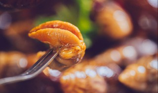 蜗牛怎样做好吃 蜗牛怎样做好吃又简单