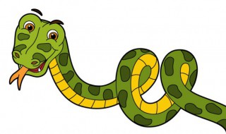 响尾蛇是从何处发出声音的 响尾蛇是从何处发出声音的?