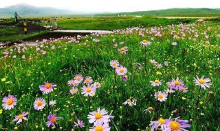 花湖海拔 甘孜莲花湖海拔