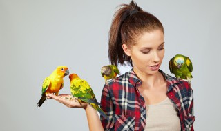 鸟的生殖方式是什么 鸟的生殖方式是什么生殖