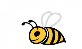 金环胡蜂喜欢什么气味 金环胡蜂喜欢在什么地方活动?