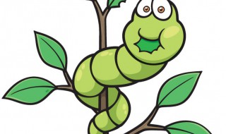 枣树上长的蜇人的虫子叫什么（枣树上面蜇人的虫子）