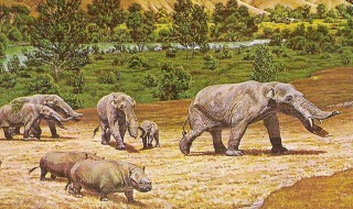 亚洲象迁徙的原因 亚洲象迁徙的可能原因